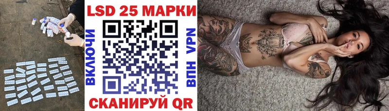 ЛСД экстази ecstasy  где купить наркотик  Злынка 