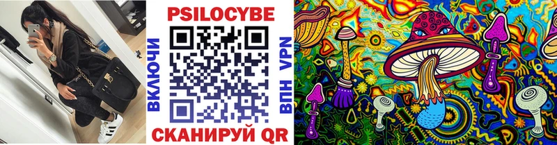 купить наркотик  Злынка  Псилоцибиновые грибы мицелий 